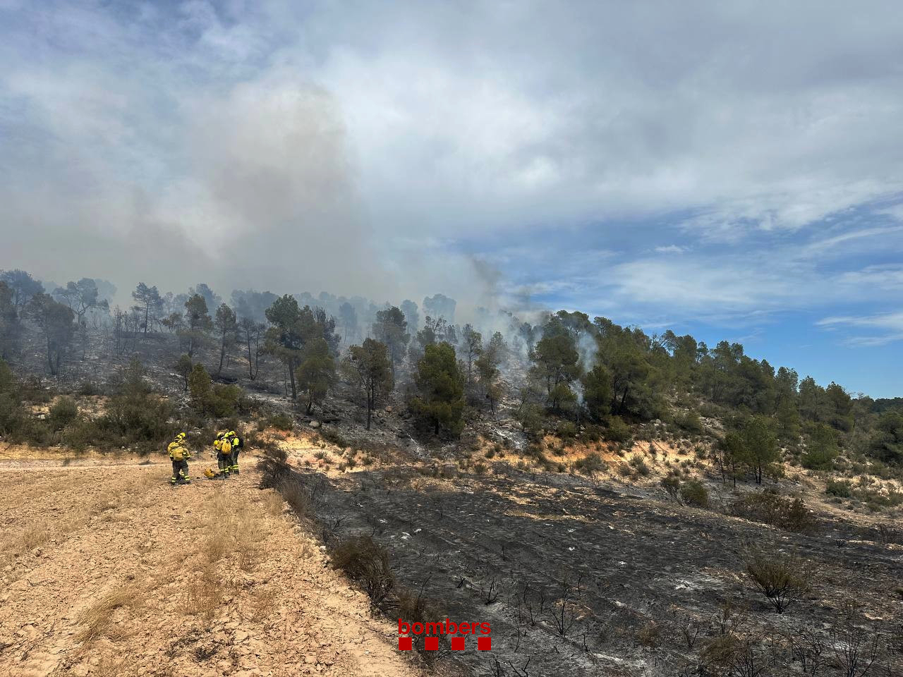 33 dotacions terrestres dels Bombers i 9 d’aèries treballen un incendi a Batea que afecta sobretot territori aragonès