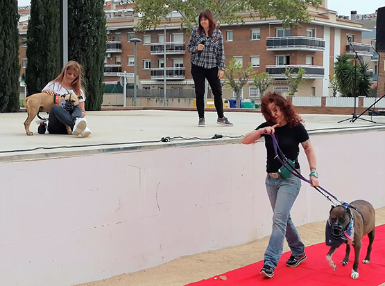 Sant Llorenç d’Hortons acollirà diumenge una jornada de benestar animal