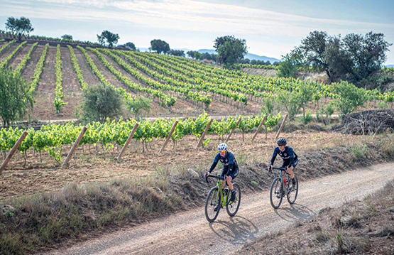 La Gravel Penedès torna del 24 al 26 de maig amb recorreguts de 6 a 400km de distància