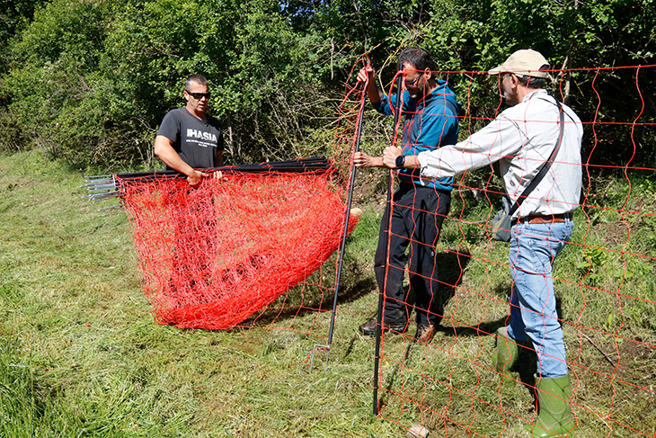 Preocupació al Collsacabra pels atacs del llop: “Les malles electrificades són un pedaç, és inviable”