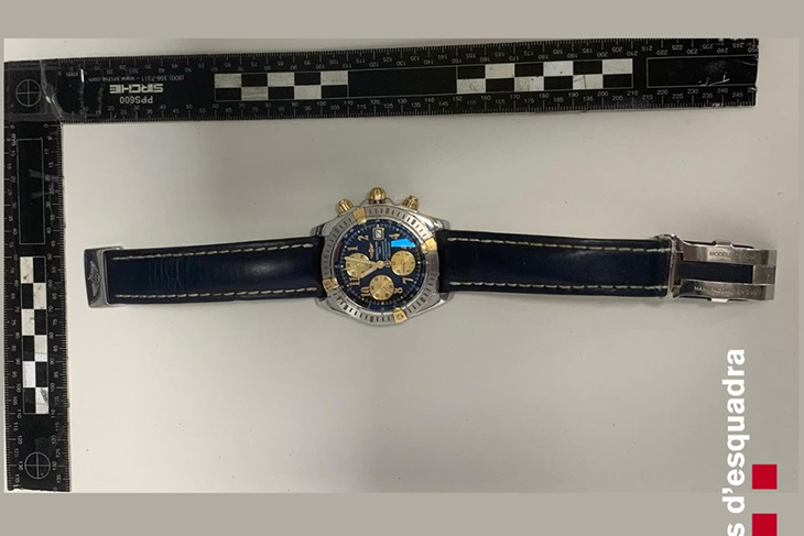 Detenen sis homes per robar un rellotge de luxe a Torroella i envestir el cotxe policial que els buscava