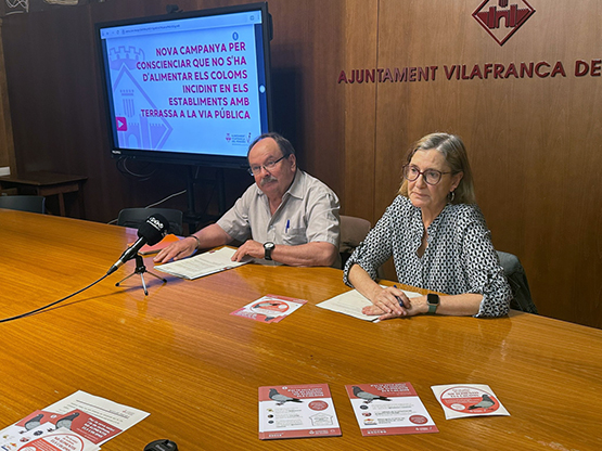 Vilafranca engega una nova campanya per conscienciar que no s’ha d’alimentar els coloms