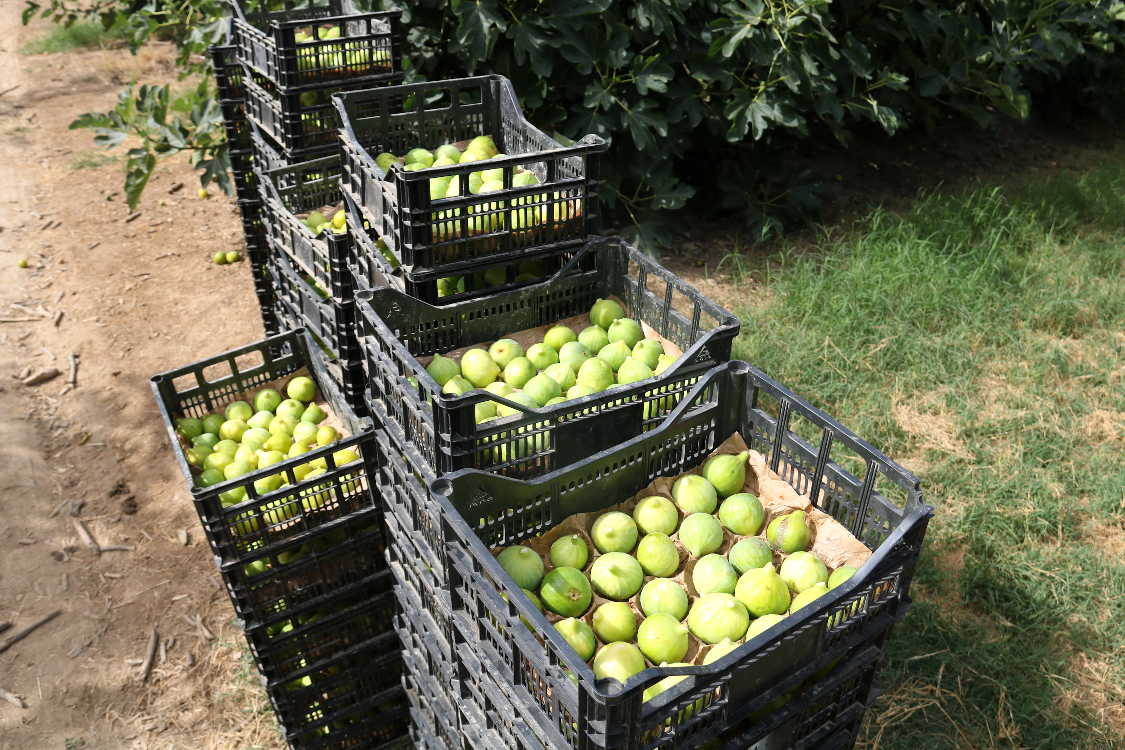 Els afiliats a la Seguretat Social pugen a 39 comarques i Aran al maig, un 2,5% més que fa un any