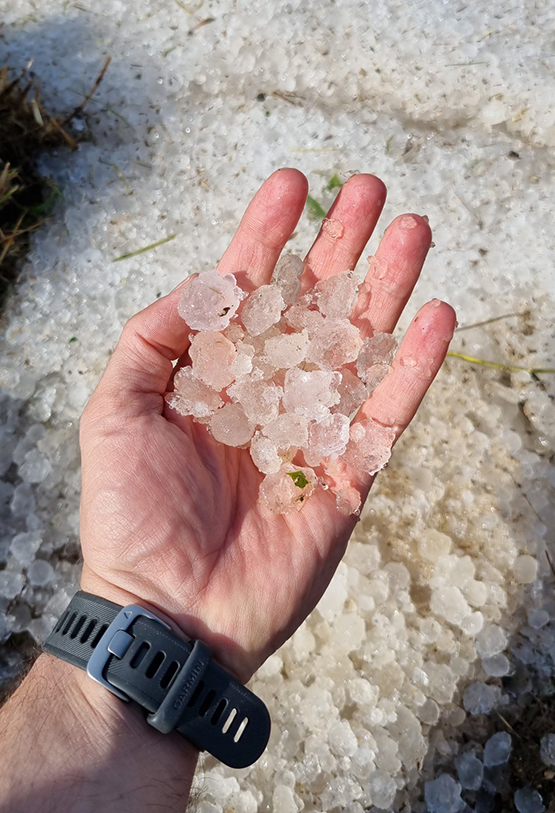 La forta pedregada de dissabte va destrossar més d’un miler d’hectàrees de vinyes del Penedès