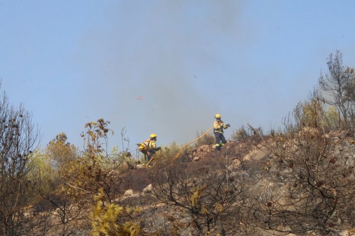 Estabilitzat l’incendi al Priorat que ha obligat a confinar la Figuera i la Vilella Baixa
