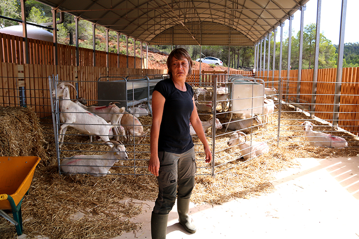 La pastora Vanessa Salvador posa en marxa l’Espai Test de Gandesa: “Soc molt feliç. He trobat el meu ofici”