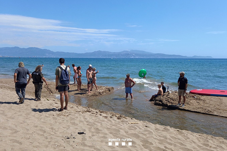 Tres denunciats per obrir la gola del riu Fluvià amb pales i navegar amb moto aquàtica dins el parc natural