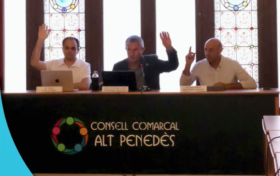 El Consell Comarcal de l’Alt Penedès aprova imposar una sanció de 29.000 euros a Hispano Igualadina