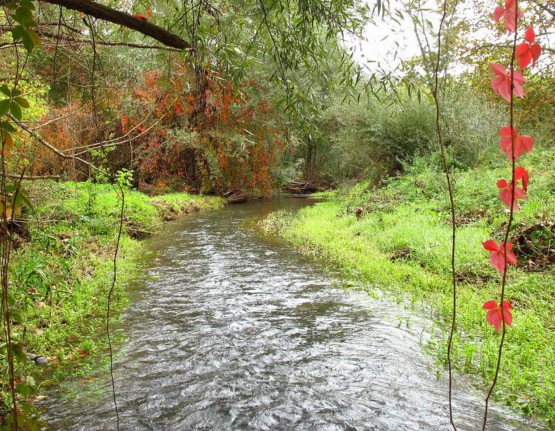 El Penedès aporta 36 propostes territorials a la Taula Nacional de l’Aigua