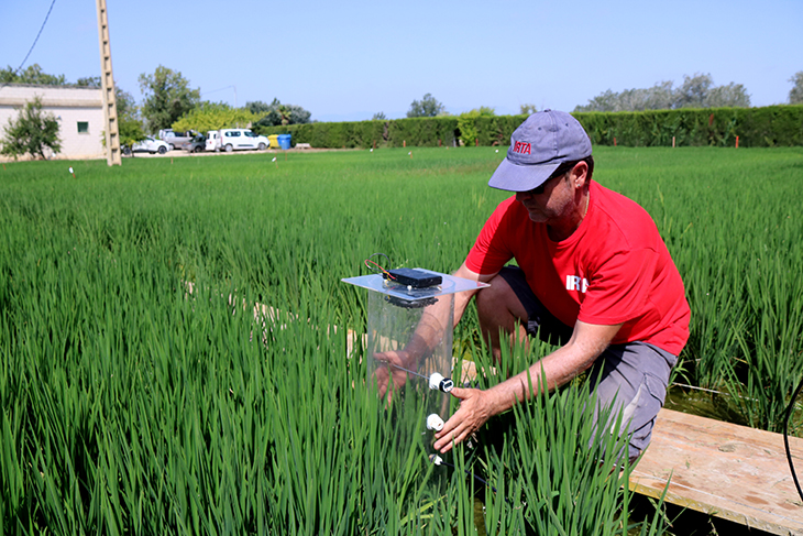Fertilització orgànica, cobertes vegetals o evitar llaurar: l’agricultura regenerativa s’obre pas amb el canvi climàtic