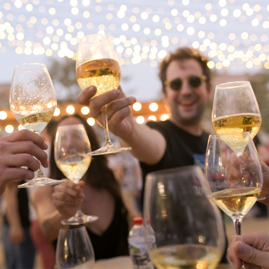 El Cavatast anuncia les caves participants en l’edició del 2024