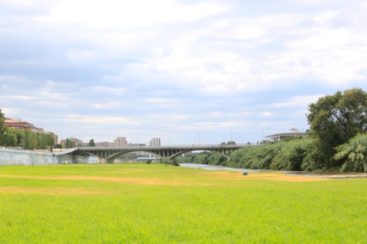 Els vessaments tòxics provocats per l’incendi de Polinyà causen la mort de més d’un miler de peixos al riu Besòs