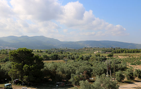 Gelida aprova dos dels últims tràmits urbanístics per a la construcció de l’Agroparc d’Ametller Origen