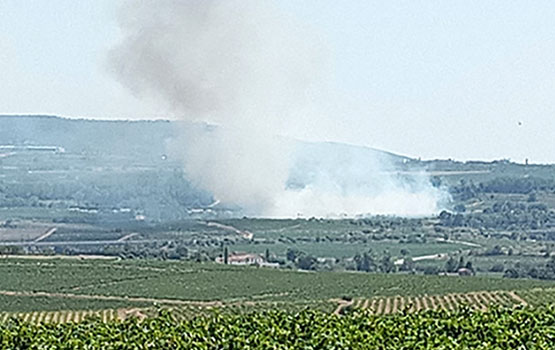 Tallada l’AP-7 per l’incendi d’un vehicle i de vegetació a la Granada