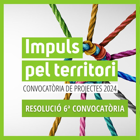 La Fundació Pinnae dona suport a 32 projectes de la Vegueria Penedès