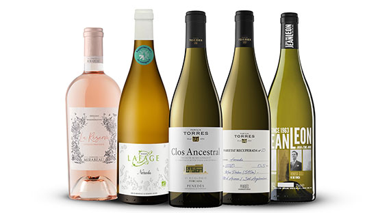 Família Torres i Jean Leon, entre els 7 cellers amb la certificació de viticultura regenerativa