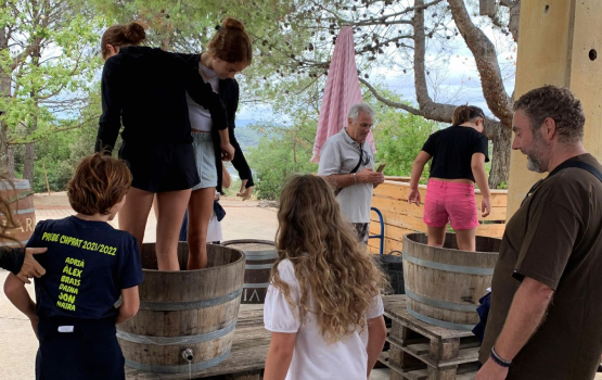 La Verema del Cava arriba a la novena edició amb 26 activitats