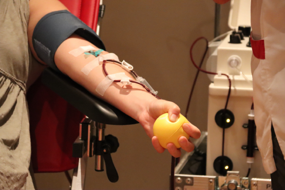 Vilafranca acollirà el 23 d’agost la Marató de Donació de Sang amb l’objectiu de rebre més de 250 persones