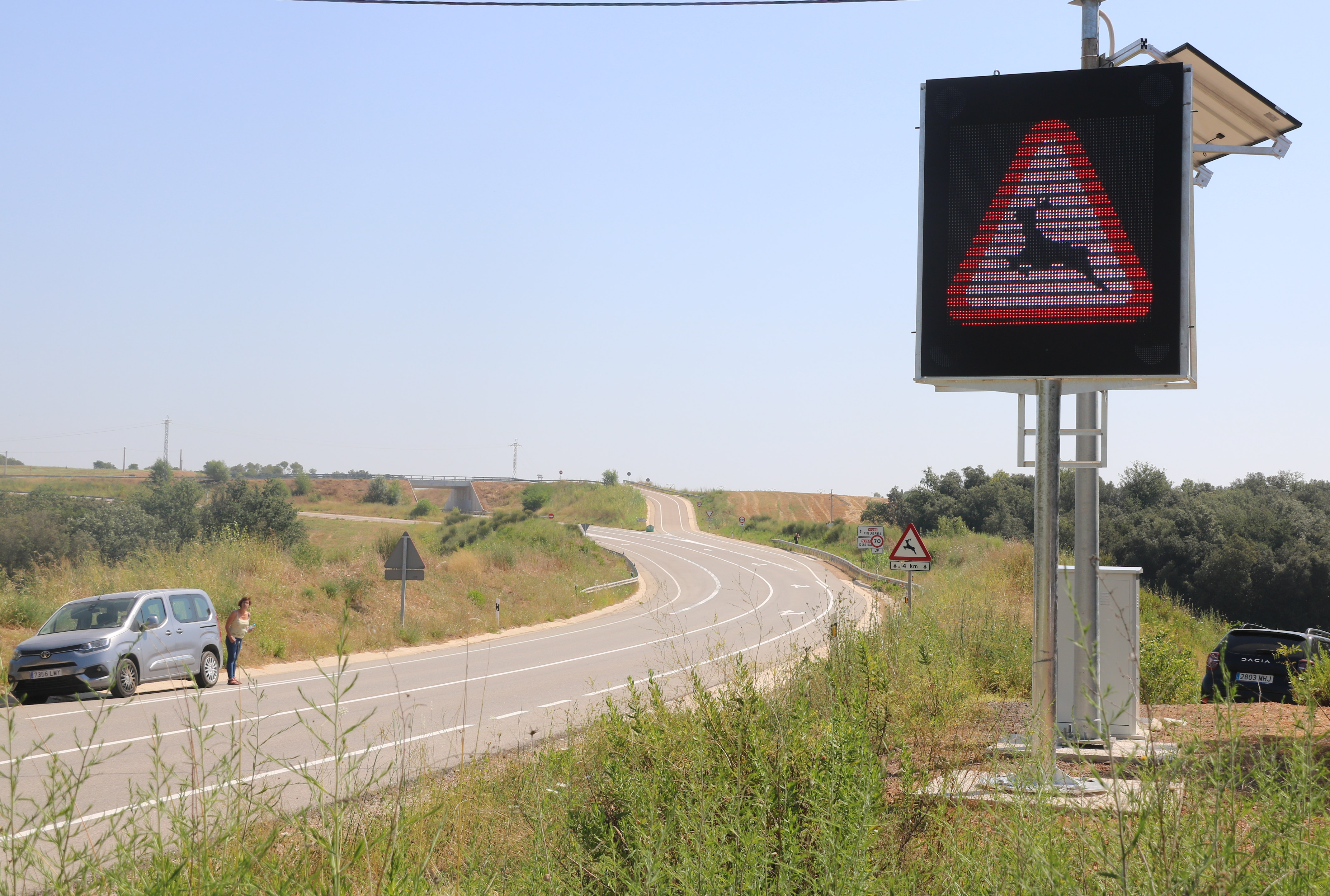 Trànsit instal·la un sistema d’avís d’animals a la carretera a tres punts de l’Alt Empordà on ha detectat sinistralitat