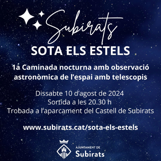 Subirats organitza avui la primera caminada nocturna per veure els Perseids