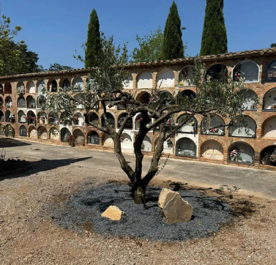 El cementiri de la Granada tindrà aviat un espai per al dol per la mort perinatal