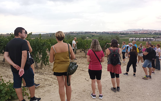 Aquest dissabte es farà un itinerari guiat entre vinyes a Sant Pau