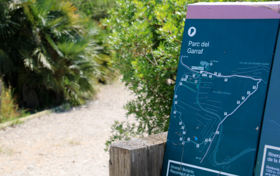 El Parc del Garraf vol crear un gran espai natural protegit que englobi Olèrdola, l’Ordal, el Foix i les Costes