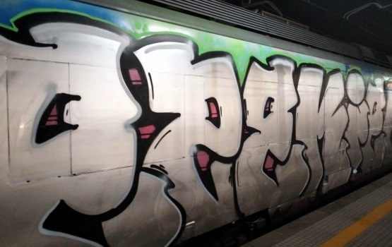 Tres trens vandalitzats amb grafitis a l’R4 obliguen a prestar servei per carretera entre Vilafranca i Castellbisbal