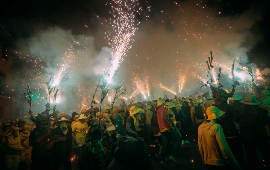Sant Sadurní es prepara per tornar a combatre la plaga de la fil·loxera