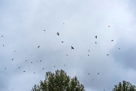 Vilobí del Penedès presenta un programa d’activitats turístiques al Parc dels Talls