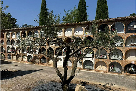 Avui s’inaugurarà a la Granada un Espai Commemoratiu per la Pèrdua Perinatal, Gestacional i Neonatal