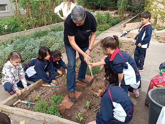 Els alumnes de primer de Primària l’escola Sant Josep de Vilafranca planten escarola perruqueta a l’Hort de Cal Gallina en el marc del projecte Slow Food Educa