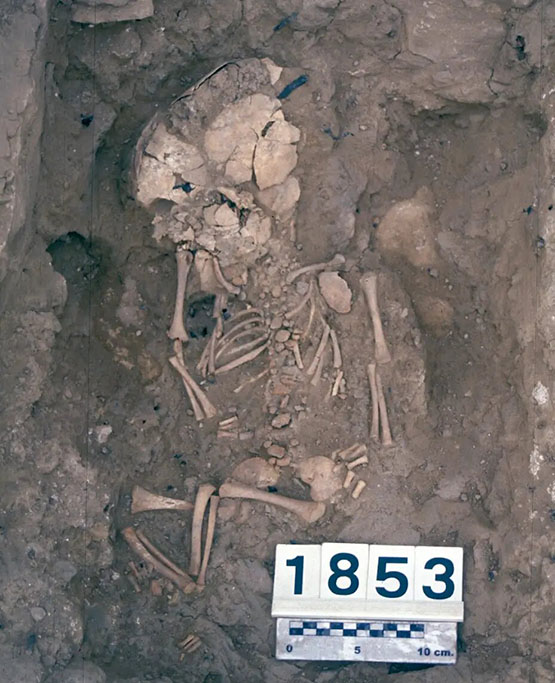 Els nadons enterrats en llars iberes a Olèrdola van morir per causes naturals i no per rituals